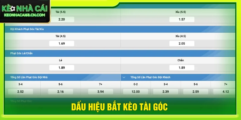 5+ Dấu Hiệu Bắt Kèo Tài Góc Và Đọc Thế Trận Chuẩn Xác 4 Dấu hiệu bắt kèo tài góc