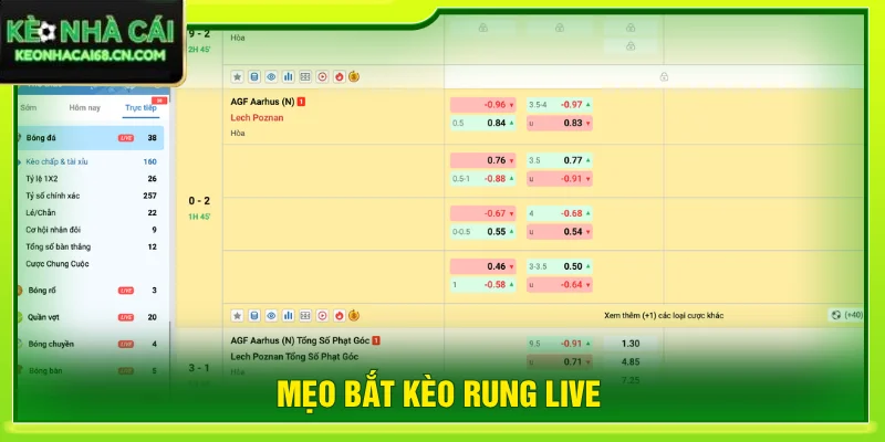 Mẹo Bắt Kèo Rung Live Hiệu Quả Với 3+ Tips Đọc Trận Hay 3 mẹo bắt kèo rung live