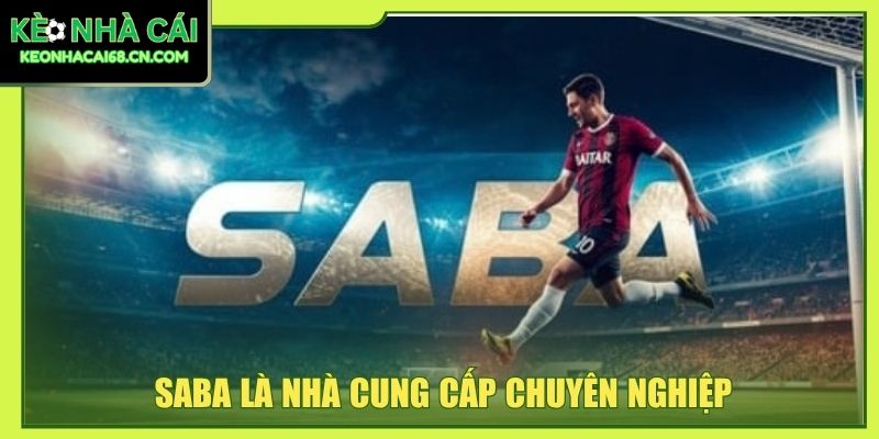 Saba là nhà cung cấp chuyên nghiệp